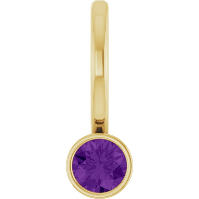 14K Yellow Gold Natural Amethyst Charm/Pendant